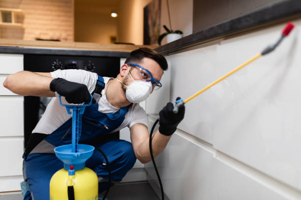 Best Pest Prevention Services  in Eddington, PA