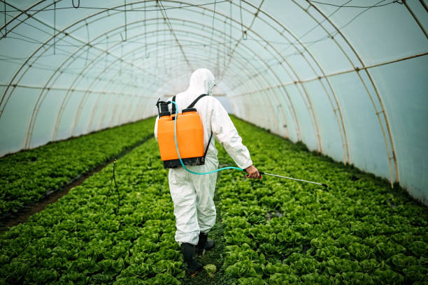 Best Pest Inspection Near Me  in Eddington, PA