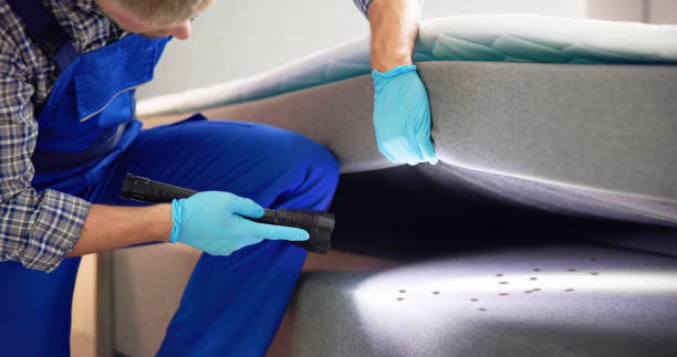 Reliable Eddington, PA Pest Control Solutions