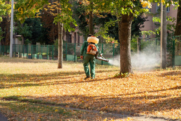 Reliable Eddington, PA Pest Control Solutions
