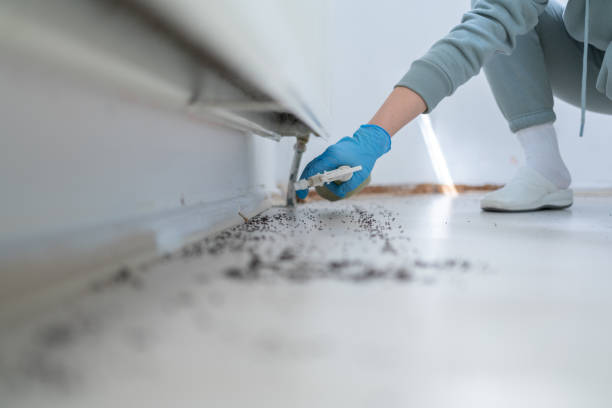Best Commercial Pest Control Services  in Eddington, PA
